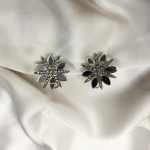 Silver Toned Earrings